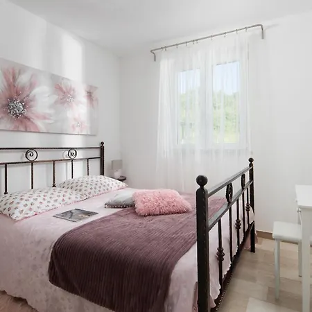 Amaryllis * Labin (Istria)