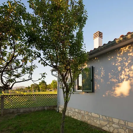 Amaryllis Villa
