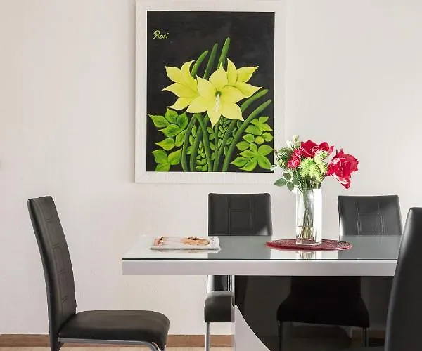 Amaryllis Labin (Istria)